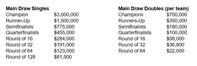 美网奖金创历史新高 单打冠军可获300万美元(2)