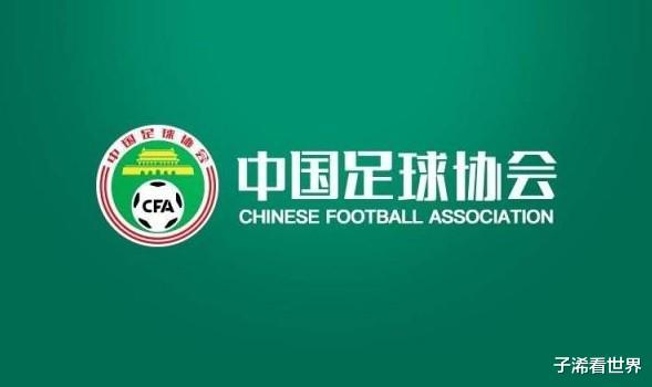 激动！中国足球传来好消息：足协做出正确决定，球迷振奋(2)