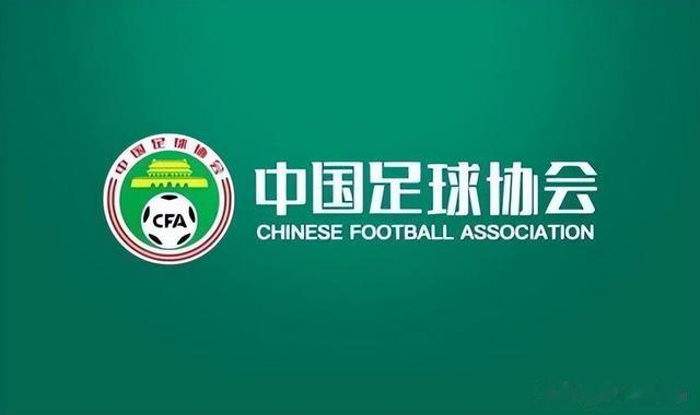 凭一己之力让中国足球倒退二十年的男人！(5)