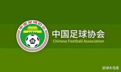 尘埃落定！中国足协被开除悬念曝光，亚足联表态，FIFA辞退杜兆才(5)