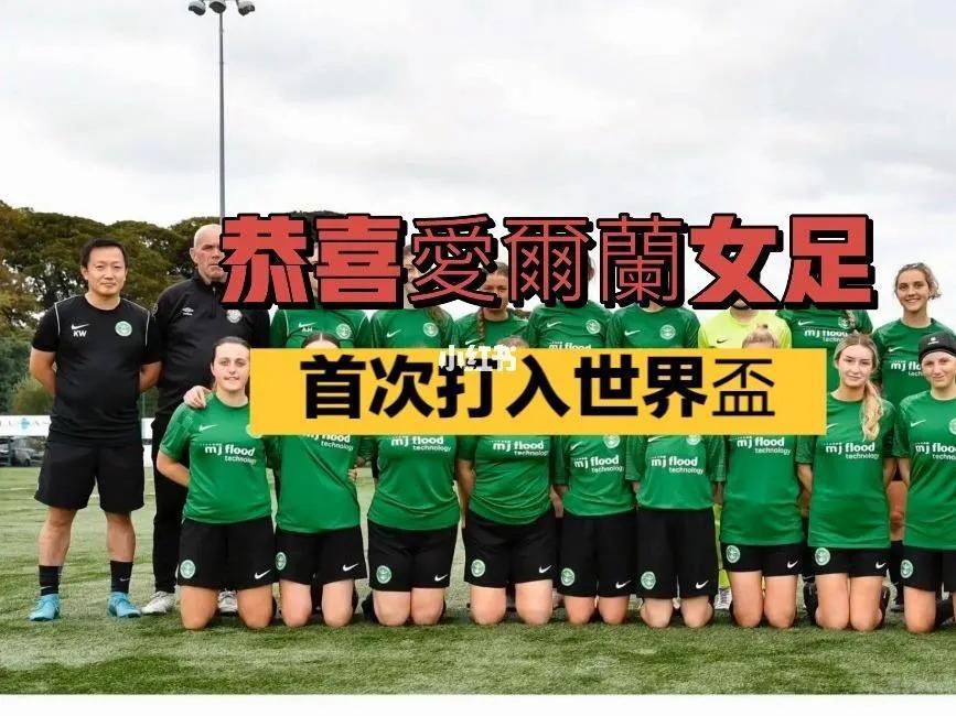   32強巡礼5
爱尔兰女足世界排名第24位，本届八支首次亮相世界杯球队之一，
(3)