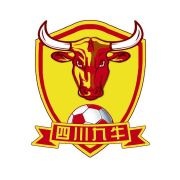四川省足球协会祝贺九牛冲超：十年饮冰难凉热血，中超我们来了！